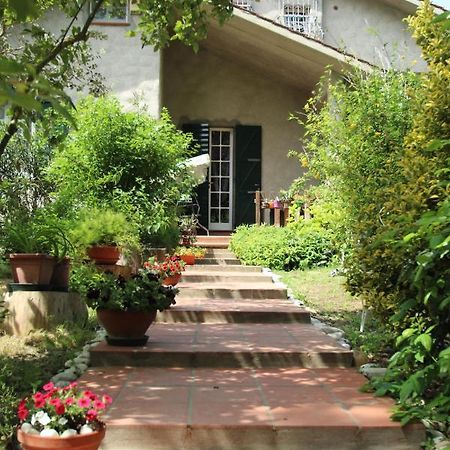 萨维奥迪拉韦纳La Casa Nel Bosco住宿加早餐旅馆 外观 照片